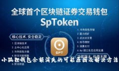 小狐狸钱包余额消失的可能原因及解决方法