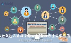: 小狐狸钱包不启动了怎么办？解决方案与常见问