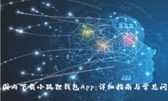 如何在国内下载小狐狸钱包App：详细指南与常见