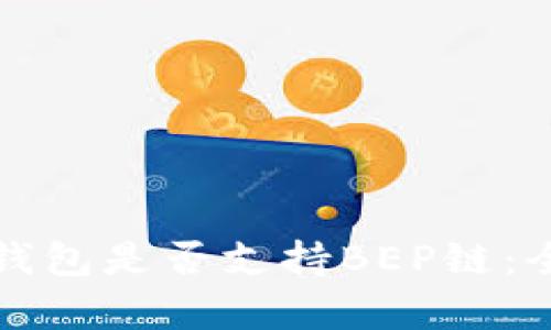 小狐狸钱包是否支持BEP链：全面解析