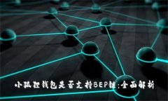 小狐狸钱包是否支持BEP链：全面解析