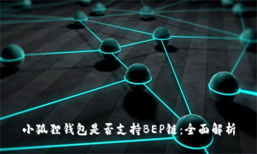 小狐狸钱包是否支持BEP链：全面解析