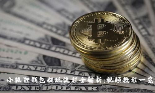  小狐狸钱包提现流程全解析：视频教程一览