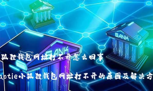 小狐狸钱包网址打不开怎么回事

jiaotie小狐狸钱包网址打不开的原因及解决方法