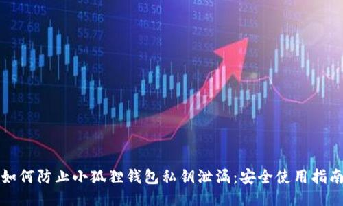 如何防止小狐狸钱包私钥泄漏：安全使用指南