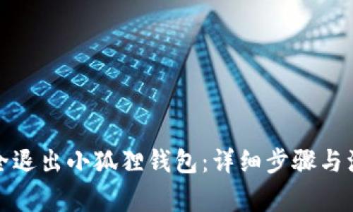 如何安全退出小狐狸钱包：详细步骤与注意事项