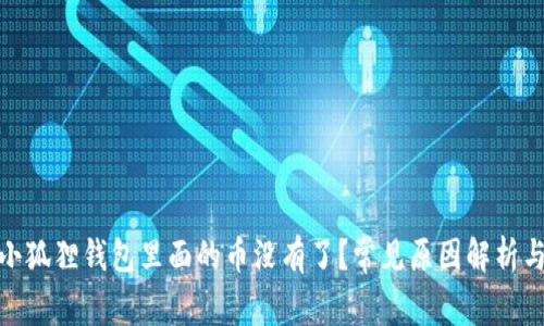 : 为什么小狐狸钱包里面的币没有了？常见原因解析与解决方案