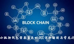 提现到小狐狸钱包需要多长时间？详细解析与常