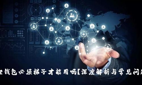 小狐狸钱包必须梯子才能用吗？深度解析与常见问题解答