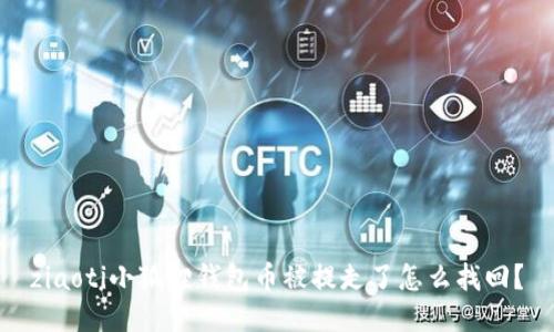ziaoti小狐狸钱包币被提走了怎么找回？