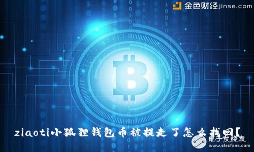 ziaoti小狐狸钱包币被提走了怎么找回？