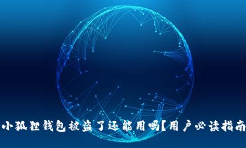 小狐狸钱包被盗了还能用吗？用户必读指南