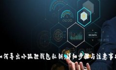 如何导出小狐狸钱包私钥：详细步骤与注意事项