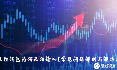 小狐狸钱包为何无法输入？常见问题解析与解决方案