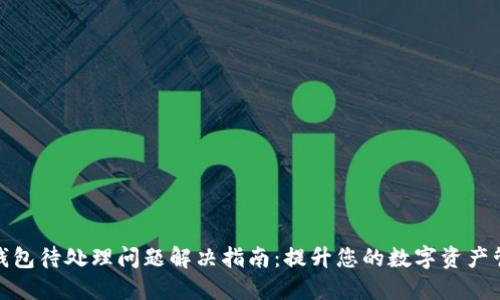 小狐狸钱包待处理问题解决指南：提升您的数字资产管理体验
