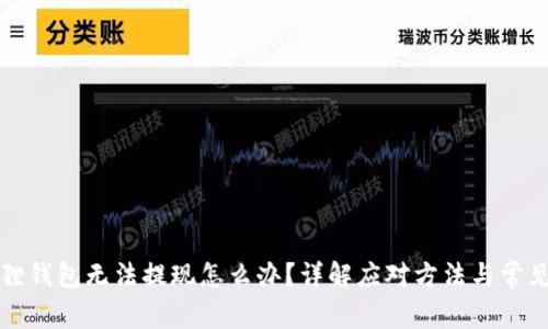 小狐狸钱包无法提现怎么办？详解应对方法与常见问题