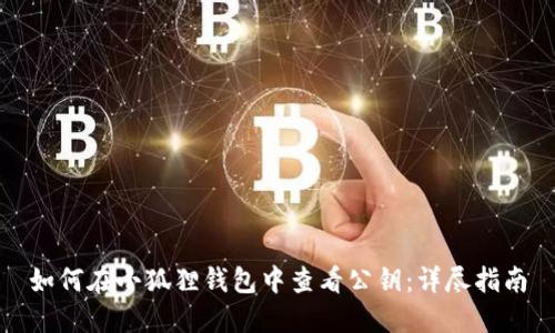 如何在小狐狸钱包中查看公钥：详尽指南