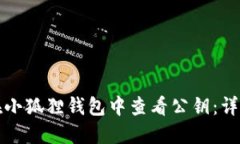 如何在小狐狸钱包中查看公钥：详尽指南