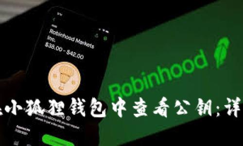 如何在小狐狸钱包中查看公钥：详尽指南