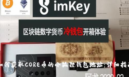 如何获取CORE币的小狐狸钱包地址：详细指南