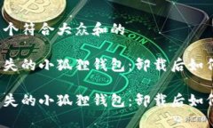 思考一个符合大众和的寻找丢失的小狐狸钱包：