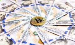 : 小狐狸钱包怎么添加狗币？详解步骤与注意事项