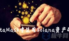 如何在MetaMask中使用Solana资产的全面指南