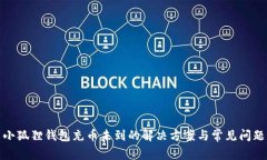 小狐狸钱包充币未到的解决方案与常见问题