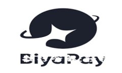 小狐狸钱包APP使用技巧全解：轻松掌握数字货币