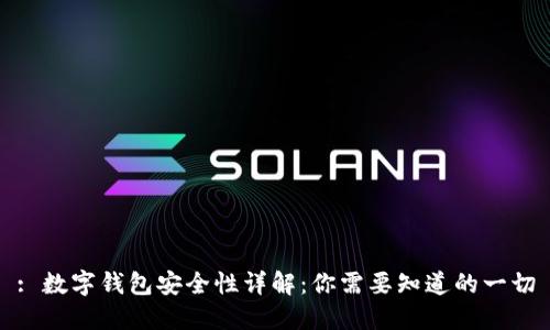 : 数字钱包安全性详解：你需要知道的一切
