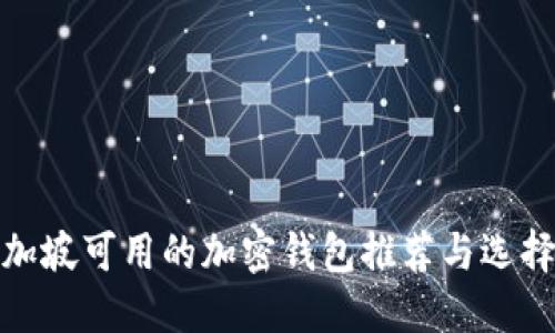 : 新加坡可用的加密钱包推荐与选择指南