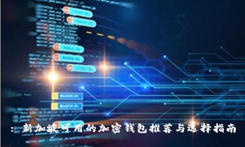 : 新加坡可用的加密钱包推荐与选择指南