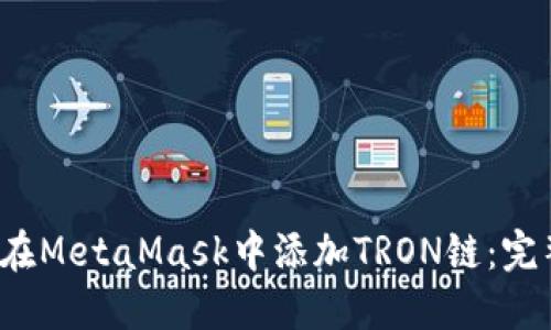  如何在MetaMask中添加TRON链：完整指南
