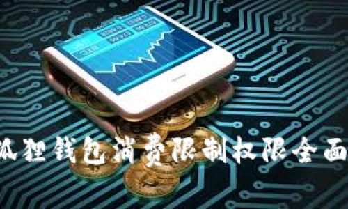  小狐狸钱包消费限制权限全面解析