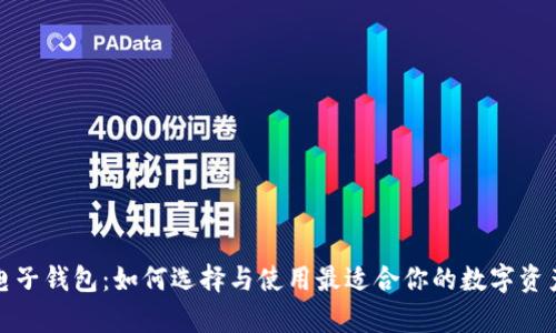 数字资产电子钱包：如何选择与使用最适合你的数字资产存储方案