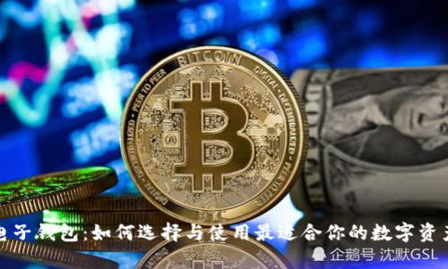 数字资产电子钱包：如何选择与使用最适合你的数字资产存储方案