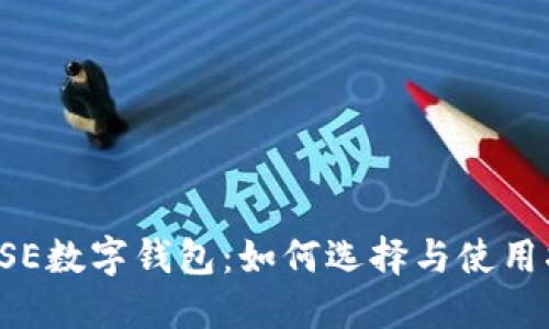 : DSE数字钱包：如何选择与使用指南