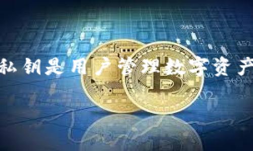 小狐狸钱包（FoxWallet）是一款受欢迎的数字货币钱包，用户可以用它进行加密货币的管理与交易。导出私钥是用户管理数字资产的重要步骤。通过波及各种角度的详细介绍，本文将引导您了解如何安全、有效地导出小狐狸钱包的私钥。

小狐狸钱包导出私钥的详细指南