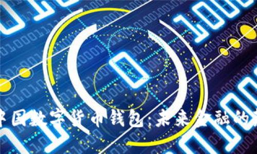 揭秘中国数字货币钱包：未来金融的颠覆者
