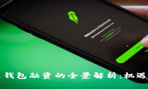 区块链钱包融资的全景解析：机遇与挑战