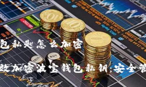 波宝钱包私匙怎么加密

如何有效加密波宝钱包私钥：安全管理指南