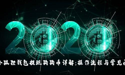 : 小狐狸钱包提现狗狗币详解：操作流程与常见问题