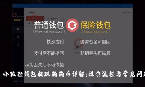 : 小狐狸钱包提现狗狗币详解：操作流程与常见问题