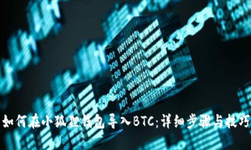 如何在小狐狸钱包导入BTC：详细步骤与技巧