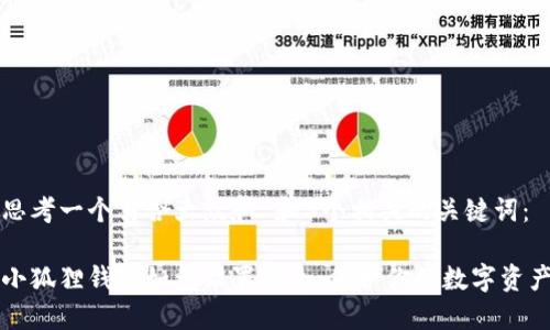思考一个符合大众和 和5个相关的关键词：

小狐狸钱包如何设置安全：保护你的数字资产