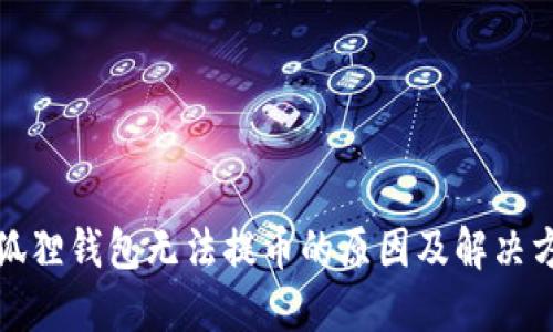 小狐狸钱包无法提币的原因及解决方案