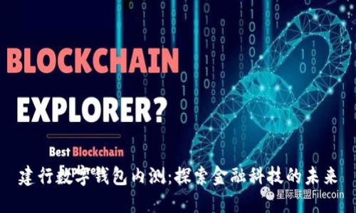 建行数字钱包内测：探索金融科技的未来