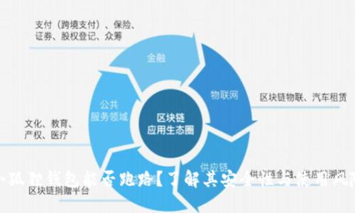 小狐狸钱包能否跑路？了解其安全性与使用风险