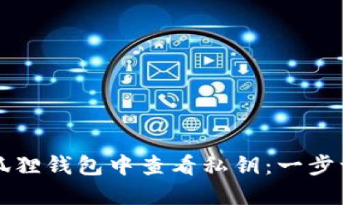 如何在小狐狸钱包中查看私钥：一步一步的指南
