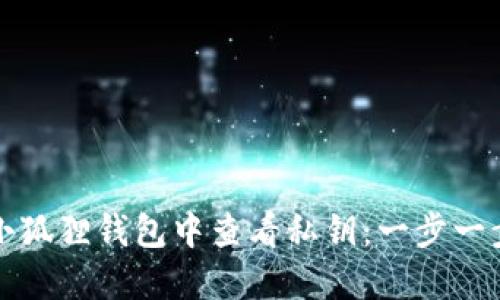 如何在小狐狸钱包中查看私钥：一步一步的指南